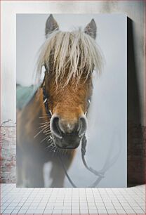 Πίνακας, Close-Up of a Horse Κοντινό πλάνο ενός αλόγου