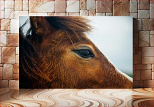 Πίνακας, Close-up of a Horse's Eye Κοντινό πλάνο του ματιού ενός αλόγου