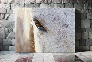 Πίνακας, Close-up of a Horse's Eye Κοντινό πλάνο του ματιού ενός αλόγου