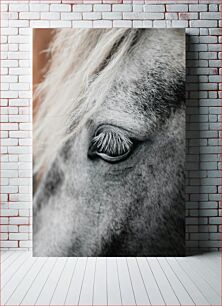 Πίνακας, Close-Up of a Horse's Eye Κοντινό πλάνο του ματιού ενός αλόγου