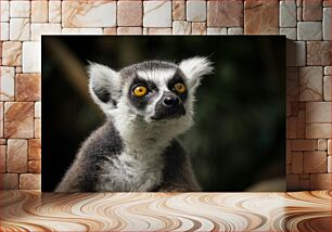 Πίνακας, Close-up of a Lemur Κοντινό πλάνο ενός Λεμούριου