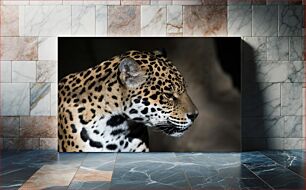 Πίνακας, Close-up of a Leopard Κοντινό πλάνο μιας λεοπάρδαλης