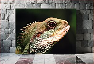 Πίνακας, Close-up of a Lizard Κοντινό πλάνο μιας σαύρας