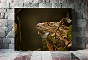 Πίνακας, Close-up of a Lizard Κοντινό πλάνο μιας σαύρας