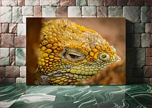 Πίνακας, Close-up of a Lizard's Skin Κοντινό πλάνο του δέρματος μιας σαύρας