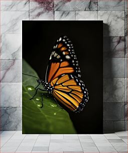 Πίνακας, Close-Up of a Monarch Butterfly Κοντινό πλάνο μιας πεταλούδας Monarch