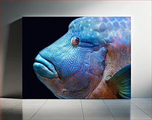 Πίνακας, Close-Up of a Neon Fish Κοντινό πλάνο ενός ψαριού νέον