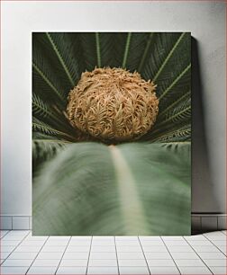 Πίνακας, Close-up of a Palm Tree Flower Κοντινό πλάνο ενός λουλουδιού φοίνικα