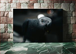 Πίνακας, Close-Up of a Parrot Κοντινό πλάνο ενός παπαγάλου