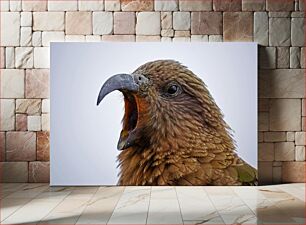 Πίνακας, Close-up of a Parrot Yawning Κοντινό πλάνο ενός παπαγάλου που χασμουριέται