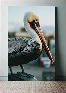 Πίνακας, Close-Up of a Pelican Κοντινό πλάνο ενός πελεκάνου