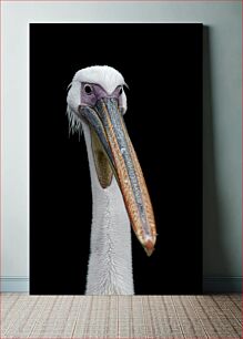 Πίνακας, Close-Up of a Pelican Κοντινό πλάνο ενός πελεκάνου