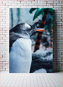 Πίνακας, Close-Up of a Penguin Κοντινό πλάνο ενός πιγκουίνου