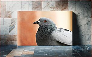 Πίνακας, Close-up of a Pigeon Κοντινό πλάνο ενός περιστεριού