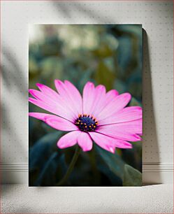 Πίνακας, Close-up of a Pink Flower Κοντινό πλάνο ενός ροζ λουλουδιού