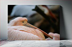 Πίνακας, Close-up of a Pink Pelican Κοντινό πλάνο ενός ροζ πελεκάνου