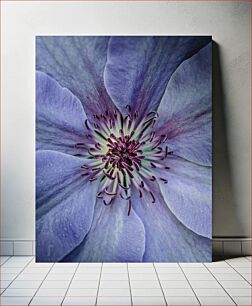 Πίνακας, Close-up of a Purple Flower Κοντινό πλάνο ενός μωβ λουλουδιού