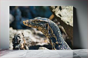 Πίνακας, Close-up of a Reptile Κοντινό πλάνο ενός ερπετού