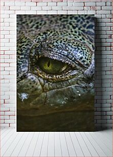 Πίνακας, Close-Up of a Reptilian Eye Κοντινό πλάνο ενός ερπετοειδούς ματιού