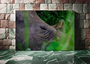 Πίνακας, Close-Up of a Rhino Κοντινό πλάνο ενός ρινόκερου