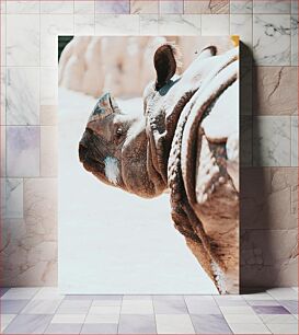 Πίνακας, Close-up of a Rhinoceros Κοντινό πλάνο ενός ρινόκερου