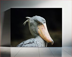Πίνακας, Close-up of a Shoebill Stork Κοντινό πλάνο ενός πελαργού παπουτσιών