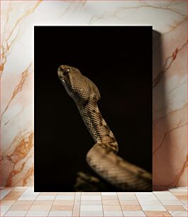 Πίνακας, Close-Up of a Snake Κοντινό πλάνο ενός φιδιού
