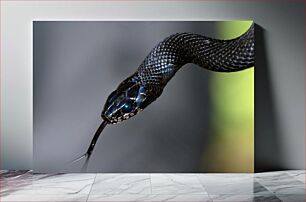 Πίνακας, Close-up of a Snake Κοντινό πλάνο ενός φιδιού