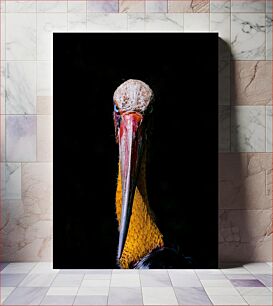 Πίνακας, Close-up of a Stork with Dark Background Κοντινό πλάνο ενός πελαργού με σκούρο φόντο