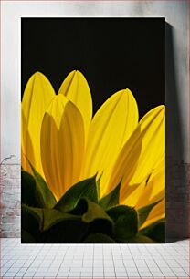 Πίνακας, Close-Up of a Sunflower Petal Κοντινό πλάνο ενός πετάλου ηλίανθου