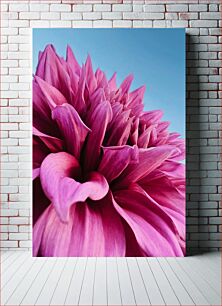 Πίνακας, Close-up of a Vibrant Pink Flower Κοντινό πλάνο ενός ζωντανού ροζ λουλουδιού