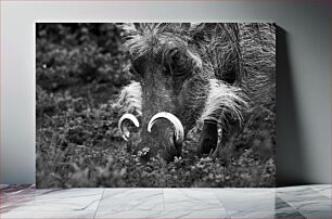 Πίνακας, Close-up of a Warthog Κοντινό πλάνο ενός Warthog