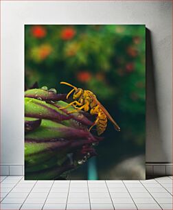Πίνακας, Close-up of a Wasp on a Flower Bud Κοντινό πλάνο μιας σφήκας σε ένα μπουμπούκι λουλουδιών