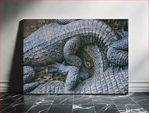 Πίνακας, Close-up of Alligator Scales Κοντινό πλάνο της ζυγαριάς αλιγάτορα