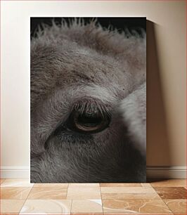 Πίνακας, Close-Up of an Animal's Eye Κοντινό πλάνο του ματιού ενός ζώου