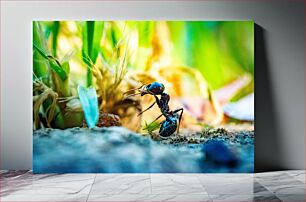 Πίνακας, Close-up of an Ant in Nature Κοντινό πλάνο ενός μυρμηγκιού στη φύση