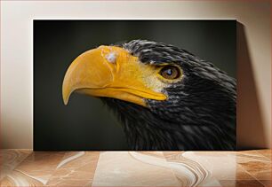 Πίνακας, Close-up of an Eagle Κοντινό πλάνο ενός αετού