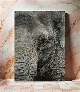 Πίνακας, Close-up of an Elephant Κοντινό πλάνο ενός ελέφαντα