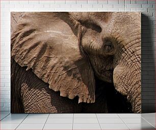 Πίνακας, Close-Up of an Elephant Κοντινό πλάνο ενός ελέφαντα