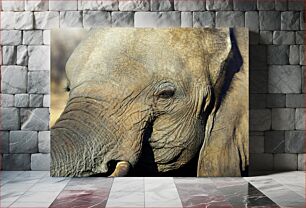 Πίνακας, Close-up of an Elephant's Face Κοντινό πλάνο του προσώπου ενός ελέφαντα