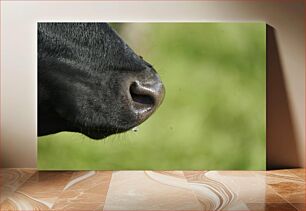 Πίνακας, Close-Up of Animal Nose Κοντινό πλάνο της μύτης των ζώων