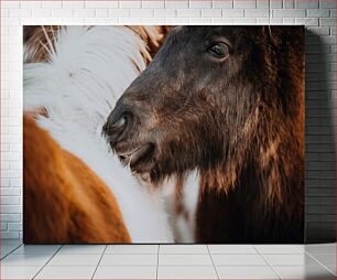 Πίνακας, Close-up of Animals Κοντινό πλάνο των ζώων