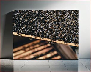 Πίνακας, Close-Up of Bees on Honeycomb Κοντινό πλάνο μελισσών στην κηρήθρα