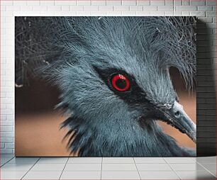 Πίνακας, Close-up of Bird with Red Eyes Κοντινό πλάνο πουλιού με κόκκινα μάτια