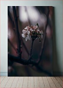 Πίνακας, Close-up of Blossoming Branch Κοντινό πλάνο Blossoming Branch