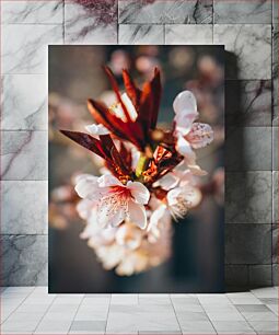 Πίνακας, Close-up of Blossoming Flowers Κοντινό πλάνο ανθισμένα λουλούδια