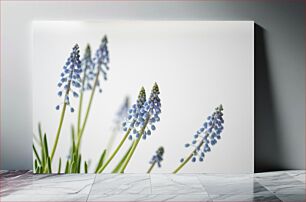 Πίνακας, Close-up of blue flowers Κοντινό πλάνο μπλε λουλουδιών