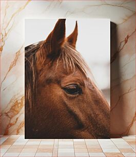 Πίνακας, Close-Up of Brown Horse Κοντινό πλάνο του καφέ αλόγου