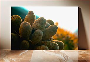 Πίνακας, Close-up of Cactus at Sunset Κοντινό πλάνο του κάκτου στο ηλιοβασίλεμα