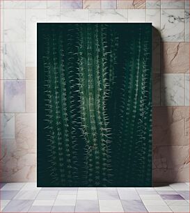 Πίνακας, Close-up of Cactus Spikes Κοντινό πλάνο Cactus Spikes